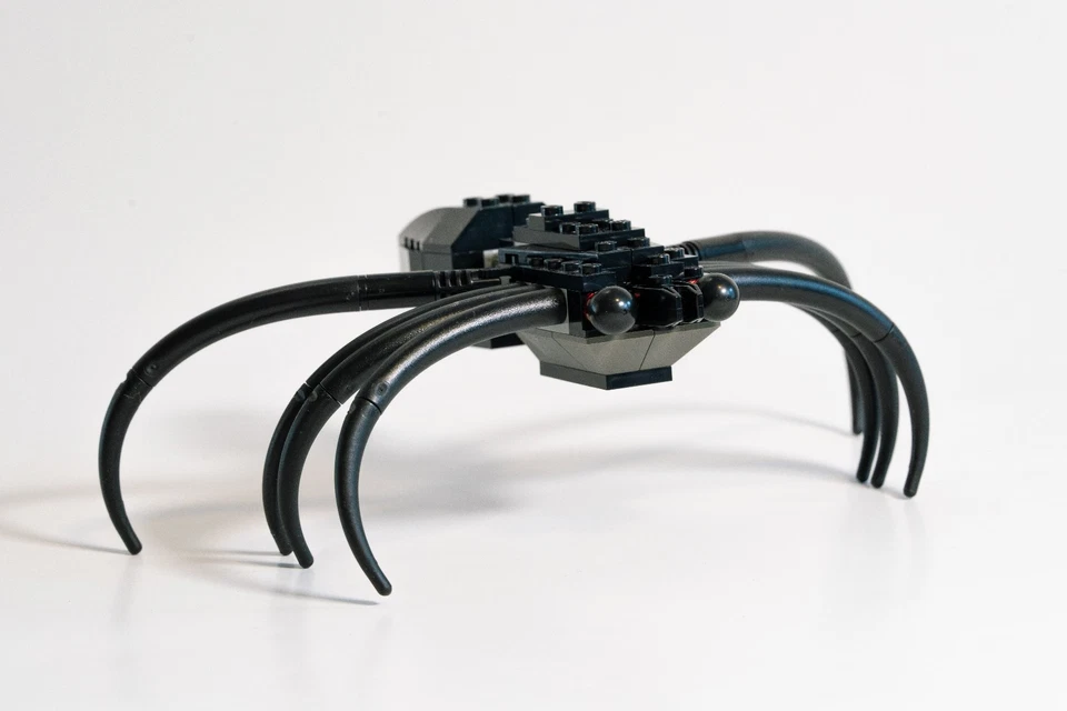 LEGO Harry Potter 4727 Aragog in the Dark Forest, Foto 3 von 5
