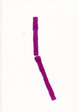 TAMBURI, Ennio. Continuum. Garden Room, Cimitero Acattolico di Roma 2018