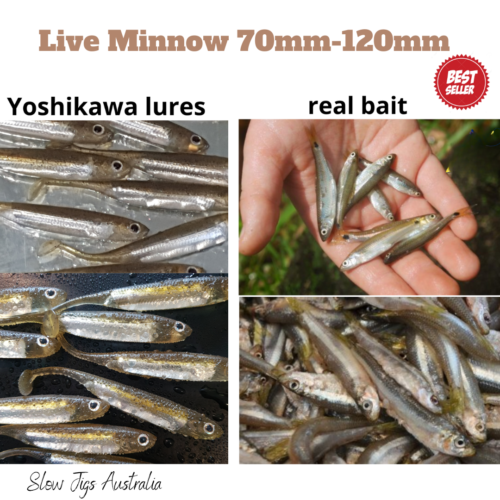 5/6x YOSHIKAWA-Soft Plastic Paddle Tail 70mm-120mm Minnow lure Fish Bream Flatty - Picture 1 of 28