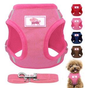 small dog harness and leash