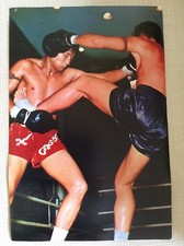 MUAY THAI BOXE TAILANDESE THAI BOXE FOTO MATCH SU RING