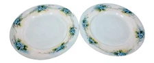 Vintage PT Bavaria Hand Painted 9-3/4" Dinner Plates Set of 2 Forget Me Nots