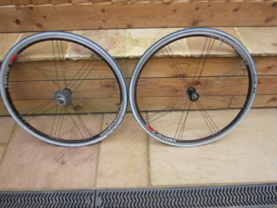 ■ pinarello surprise Pinarello Pinarello Surprise - Campagnolo 2001