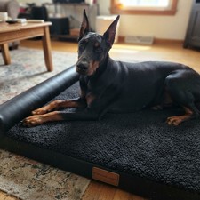 Orthopedic Large Dog Bed Pet Sofa Beds 36''X24'' Black  L Bolster Egg-Crate