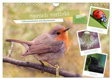 Calendar 2027  US Version  Saying in love Wall Calendar 2027 12"  8" landsca