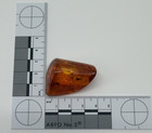 LARGE FLY INCLUSION GENUINE BALTIC AMBER FOSSIL 10.80G PREMIUM POLISHED SPECIMEN — photo 6