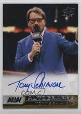 2025 SP Game Used AEW UD AEW Auto Announcers Tony Schiavone #AA-SC Auto 17an