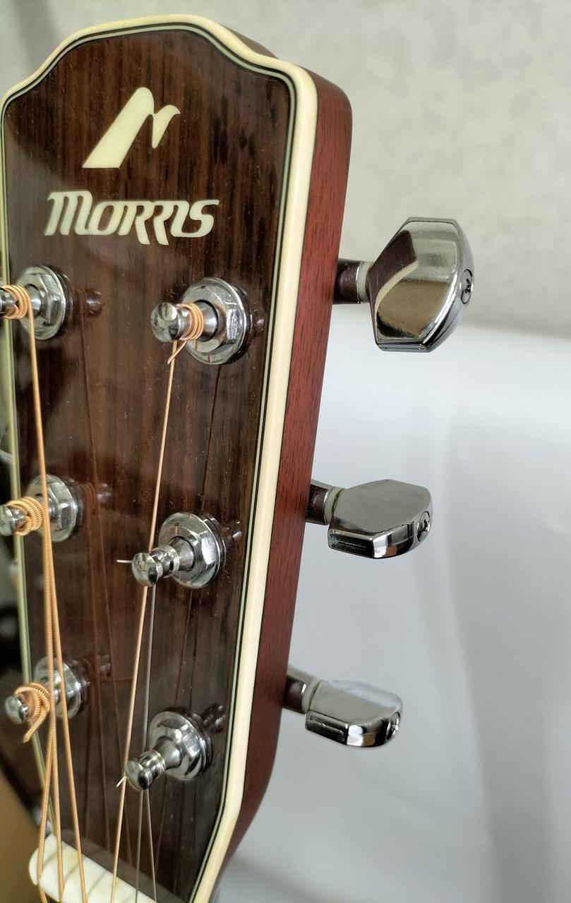 極美品！MORRIS モーリス Rumbler MR603 エレアコギター ケース付き