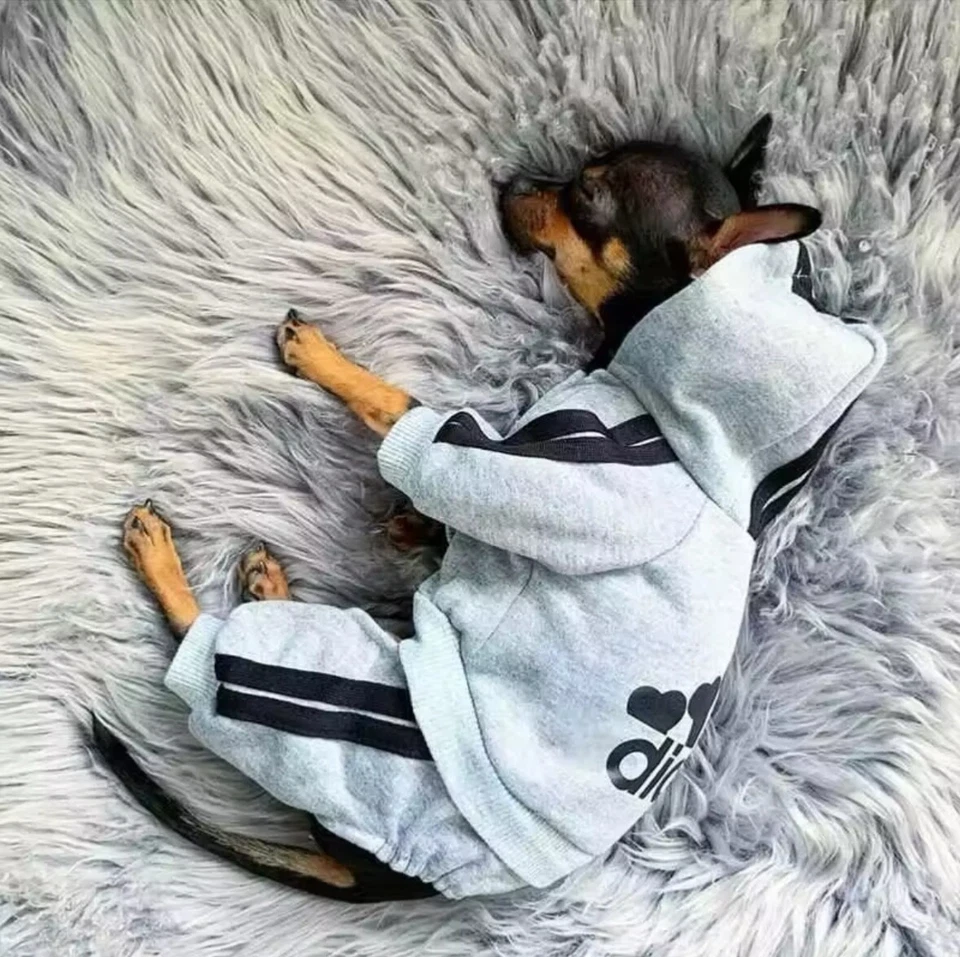 Adidog Dog Tracksuit Pet Jumpsuit Stylish Hoodie Puppy Clothes Summer Outfit Dog - Image 3 of 4