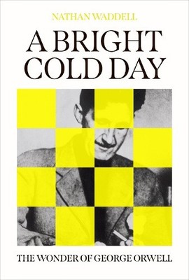 Ein strahlend kalter Tag: Das Wunder von George Orwell von Nathan Waddell [gebunden]