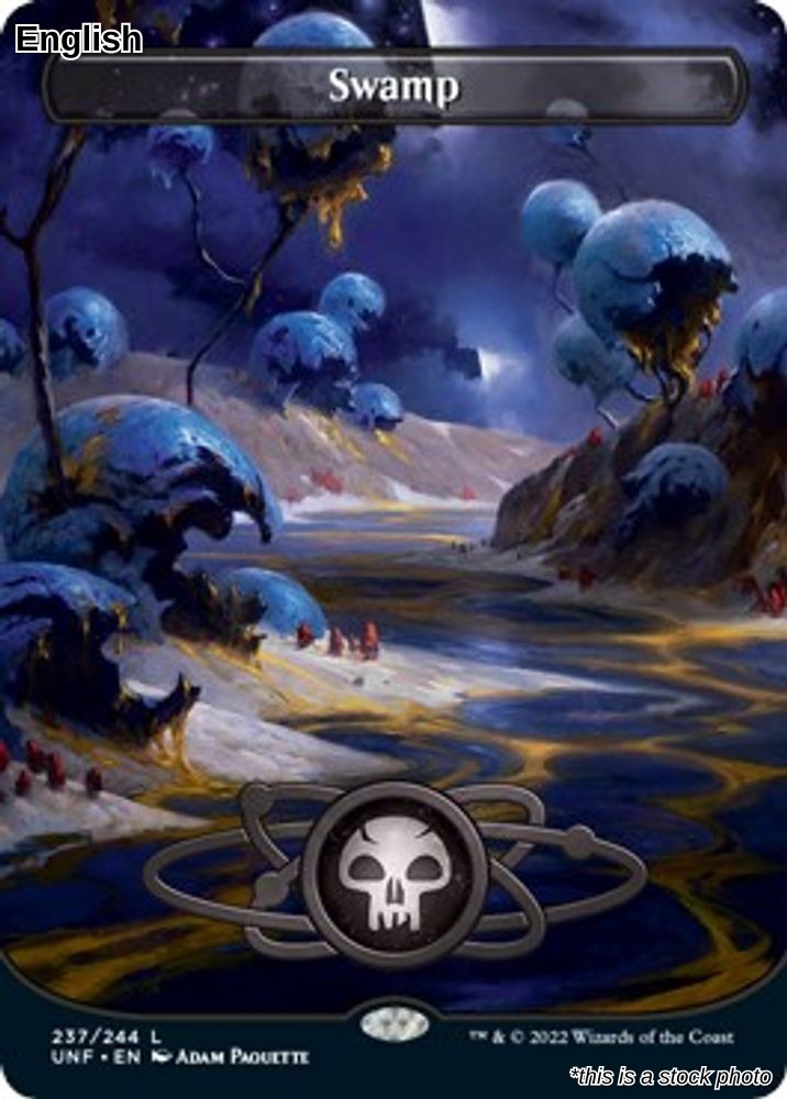 Swamp (Borderless) 237 Unfinity NM