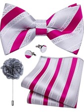 Silk Bow Tie Set for Men Striped Pre-tied Tuxedo Bowties Silver Purple Striped