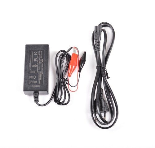 Cargador Para Baterías LiFePO4 Litio Hierro Fosfato - Imagen 3 de 21