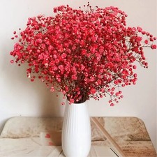 Dried-Flowers-Babys-Breath-Bouquet-17.2 inch 2500 Flowers Natural Gypsophila...