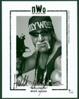 HULK HOGAN Signed 8x10 NWO Hollywood Hogan Portrait Photo New World Order GA