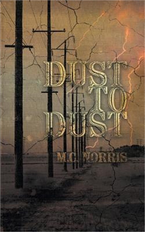 Dust To Dust (Paperback or Softback)