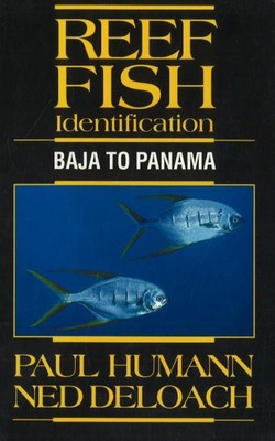 Identifizierung von Rifffischen: Baja nach Panama von Paul Humann (Englisch) Taschenbuch