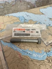 Yamaha #97095-10070 Screw. SKU: 40967-D-A175-38KF