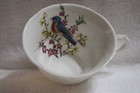Royal Cauldon Aviary Bluebird Porcelain Teacup — photo 1