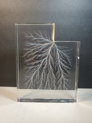 Frozen Lightning Lichtenberg Figure Aprox 5''x6'' x 1'' Physics Please Read   (F1)