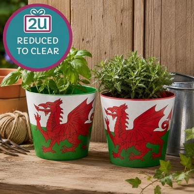 2er Set Wales Bambus Öko Pflanzkübel Harz kompostierbar biologisch abbaubar Jardinopie