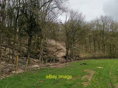 Foto 12x8 Forstarbeiten in Oxlands Dale Huggate Erstellen einer Brandpause? c2019