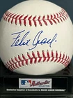 FELIX JOSE  OAKLAND A'S / ST. LOUIS CARDINALS   SIGNED OML BASEBALL