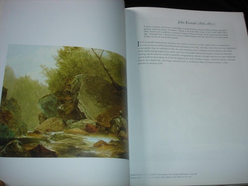 A SENSE OF PLACE: THE ARTIST & THE AMERICAN LAND Alan Gussow art history - Picture 8 of 14