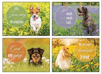Encouragement Appreciation Boxed Cards - Just Fur You 12 Boxed Cards Includes... on sale Encouragement Appreciation Boxed Cards - Just Fur You 12 Boxed Cards Includes... on sale