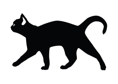 Cat Sticker - Black Cat #1 Die Cut Vinyl Decal 4-21 in Kitty Cat Outdoor Sticker