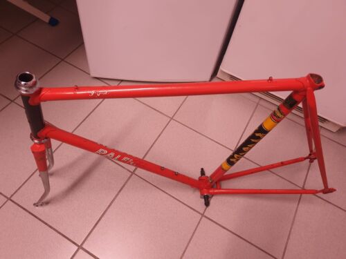 Road Bike Frame Raleigh Pipe Reynolds 531 TI Rapide - Picture 1 of 15