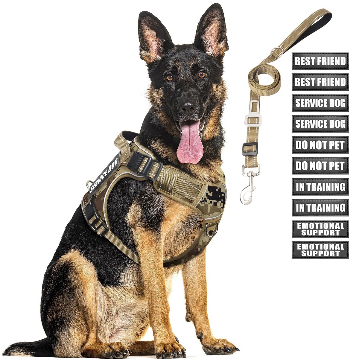 German Shepherd All Aspects Dog Training Service Dog Training