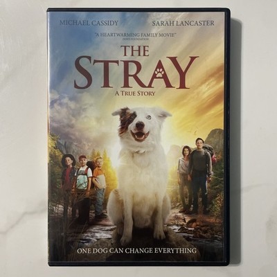 The Stray (DVD, 2017) Sarah Lancaster, Michael Cassidy ~ BUY 2 GET 1 FREE!