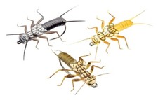 3pcs Stonefly (32mm) Realistic Stone Fly Nymphs for Fly Fishing