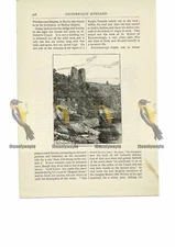 Knaresborough Castle, Yorks, Book Illustration (Print), 1891