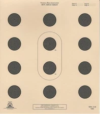 A-36 [A36] NRA Official 50 Foot Smallbore Rifle, 3-Position (100 pack) Tagboard