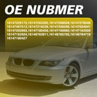 Afbeelding 3 van 10