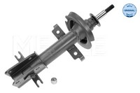Vorderachse Meyle 16-26 613 0000 StoßDäMpfer FüR Renault