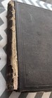 Foto 11 di 11