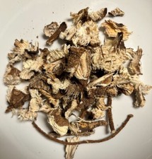 Dehydrated Poke Root Phytolacca Americana 1 oz
