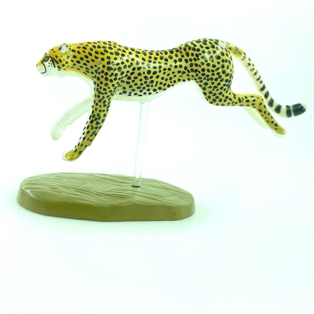【1】希少　E.colorata Michoacan コロラータミチョアカン Colorata Zoo Original Animal Mini Figure cheetah import Japan | eBay