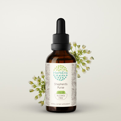 HerbEra Shepherd's Purse Alcohol-FREE Tincture  (Capsella Bursa-Pastoris)