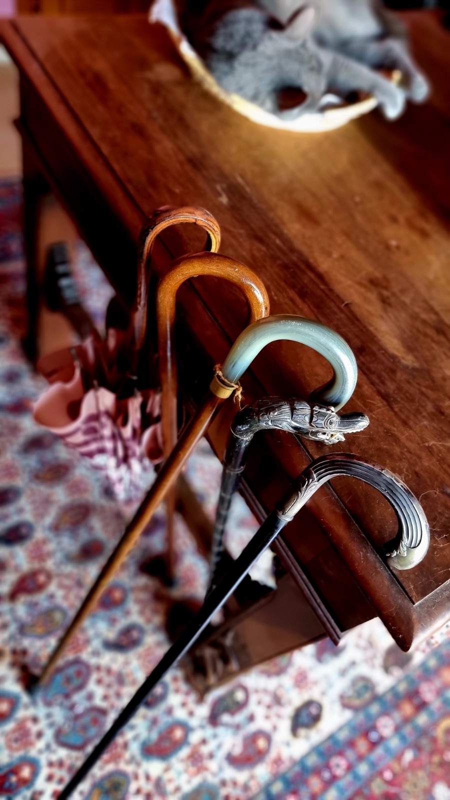 Coppia di bastoni da passeggio vintage in legno e corno anni '40