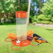 Nature's Way Hanging Glass Oriole Feeder for Outdoor Décor, 30 Ounce Capacity Ne