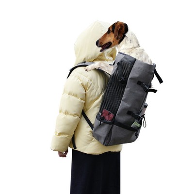 puppy backpack