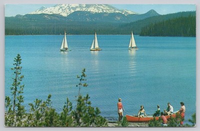 Elk Lake Oregon Postcard - Sailboats, Canoe, Cascade Mountains Vintage