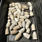 Dug Civil War  💥 🇺🇸 💣  Bullet Collection Many Types