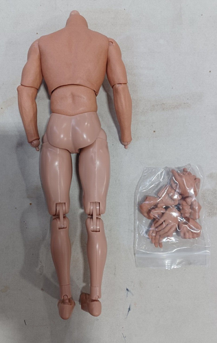 Custom ZC Toys 1/6 Scale 12" Nude Body with Pair of Feet and Hand Sets JB-112 - Picture 2 of 2