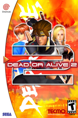 Dead Or Alive 2 Sega Dreamcast BOX ART Premium POSTER MADE IN USA