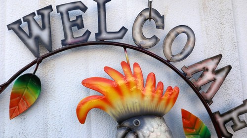Pannello welcome con un pappagallo Calopsitta in metallo creata e colorata man - Picture 3 of 6